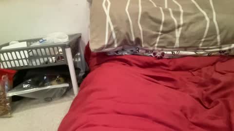 Snapshot of casanovacasaa chatting on February 2025 07:19:02 PM casanovacasaa online show from February 2025 07:19:02 PM