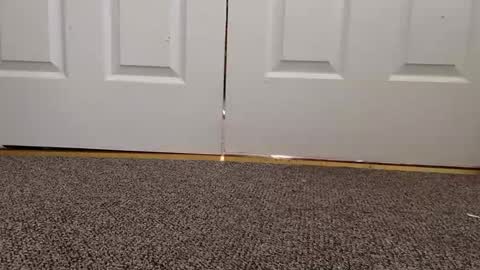 cash13bychanel online show from January 2025 08:17:01 PM