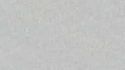 CashYanks online show from June 2026 11:52:02 AM