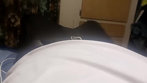 Snapshot of casper42032 chatting on February 2025 09:00:02 AM Sir Stroke Alot online show from February 2025 09:00:02 AM