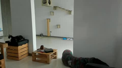 Cassandra online show from March 2026 11:57:01 AM