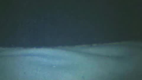 Snapshot of castells chatting on February 2025 05:18:02 PM castells online show from February 2025 05:18:02 PM