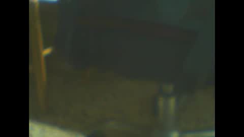 Snapshot of castells chatting on October 2025 05:02:02 PM castells online show from October 2025 05:02:02 PM