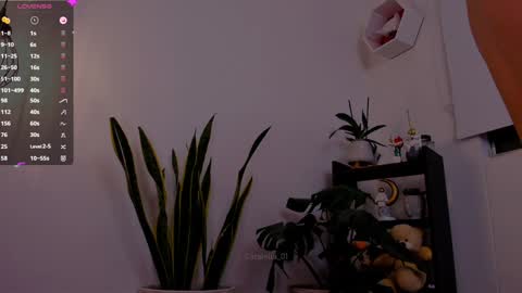 MACARENA online show from January 2025 11:52:02 PM