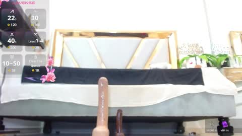 Cata online show from February 2025 01:11:01 PM