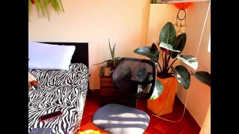 Cataina Lince online show from December 2024 07:07:02 PM