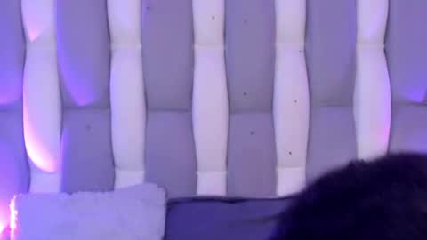 Cat  online show from December 2024 11:52:02 AM