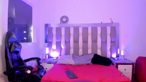 Cat  online show from December 2024 03:00:02 PM