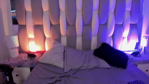 Cat  online show from December 2024 04:04:01 PM