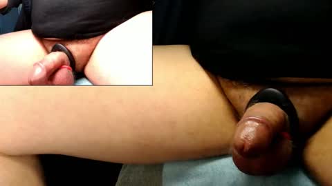 Snapshot of catlover03 chatting on February 2026 02:18:01 PM Mike online show from February 2026 02:18:01 PM