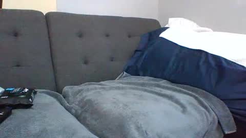 catsplace online show from January 2025 01:52:02 PM