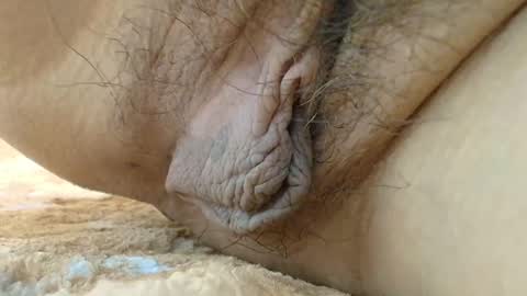 Snapshot of cbz112233 chatting on September 2025 03:33:01 PM ANNYANNY online show from September 2025 03:33:01 PM