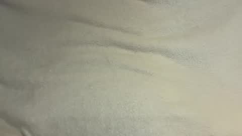 Claire online show from April 2026 05:17:01 PM