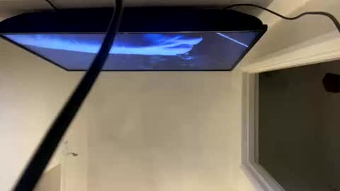 ccsexycam online show from April 2026 01:00:02 AM