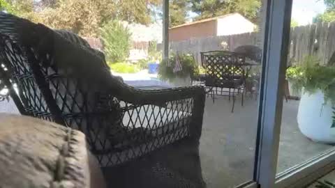 Ceeingu online show from July 2026 11:54:02 PM