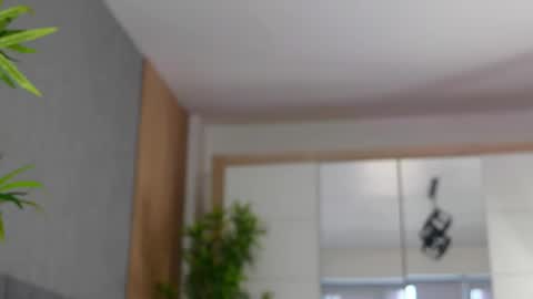 Snapshot of celestara chatting on March 2025 11:19:01 AM Celestara online show from March 2025 11:19:01 AM