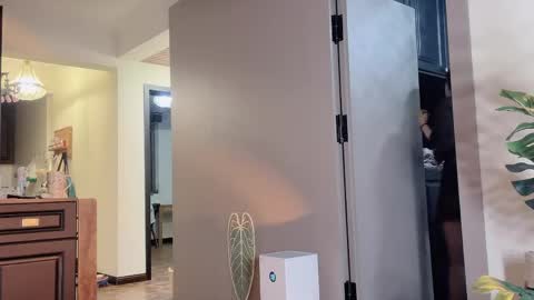 celestisse1 online show from April 2026 11:27:01 AM