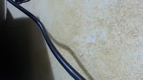 celhoduro23c online show from November 2025 08:55:01 PM