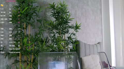 Snapshot of celinemeyerr chatting on January 2025 01:56:02 PM CelineMeyer online show from January 2025 01:56:02 PM