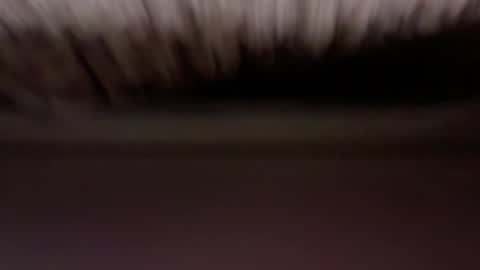 cenobitfor online show from March 2026 11:28:02 AM