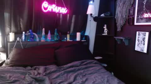 Snapshot of cerianex chatting on March 2025 08:09:02 PM Averi online show from March 2025 08:09:02 PM