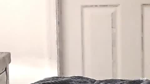 Snapshot of cfnmkinky28 chatting on December 2024 03:05:02 AM cfnmkinky28 online show from December 2024 03:05:02 AM