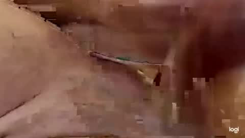 Snapshot of cfnmkinky28 chatting on January 2025 04:07:01 AM cfnmkinky28 online show from January 2025 04:07:01 AM