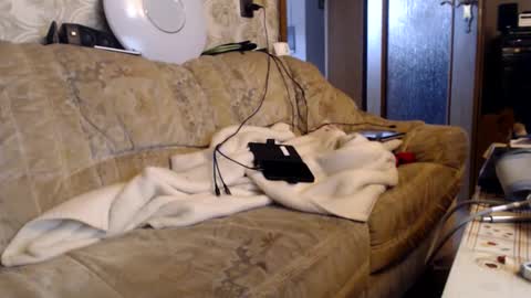 chacoa online show from February 2026 10:03:02 AM