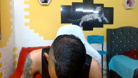 Snapshot of chacorta_ chatting on May 2026 12:56:01 PM chacorta_ online show from May 2026 12:56:01 PM