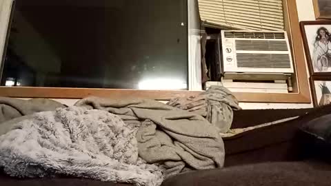 Chad420247 online show from February 2026 03:23:02 AM