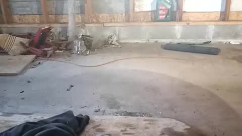 Snapshot of chadr1616 chatting on November 2025 03:52:02 PM chadr1616 online show from November 2025 03:52:02 PM