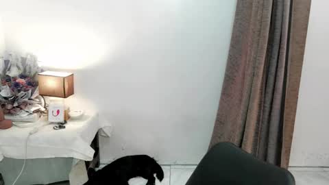 chakadal_xx online show from November 2025 06:46:01 AM