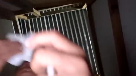 chancherman online show from December 2025 06:41:01 AM