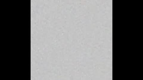 Charlotte online show from November 2025 07:01:02 PM