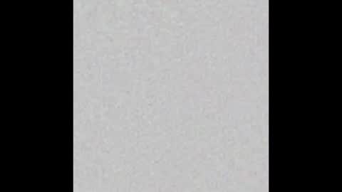 Charlotte online show from January 2026 08:03:01 PM