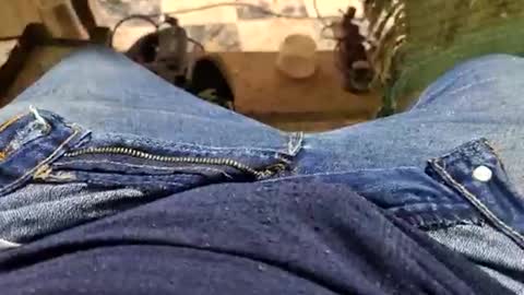 Snapshot of charly2289 chatting on September 2025 01:32:01 PM Parcero online show from September 2025 01:32:01 PM