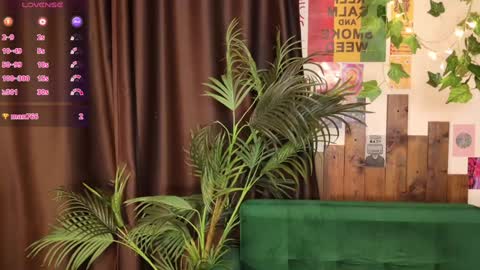 Lissa online show from February 2025 10:15:02 AM