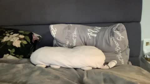 Vicky online show from September 2025 07:36:02 PM