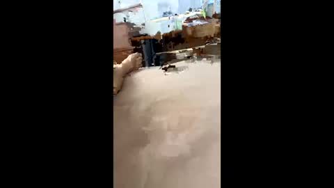 Snapshot of chasejase20333 chatting on December 2024 07:37:01 AM chasejase20333 online show from December 2024 07:37:01 AM