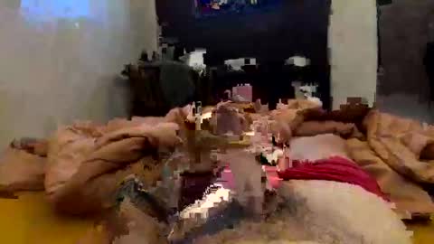 Snapshot of chasejase20333 chatting on February 2026 02:10:02 AM chasejase20333 online show from February 2026 02:10:02 AM