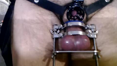 chastebetabitch online show from February 2025 05:21:01 AM