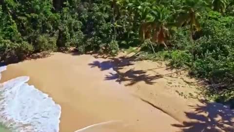 Sam online show from December 2024 04:21:02 PM