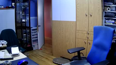 Snapshot of chatandfun666 chatting on December 2024 03:43:01 PM wanaBeYourToy online show from December 2024 03:43:01 PM