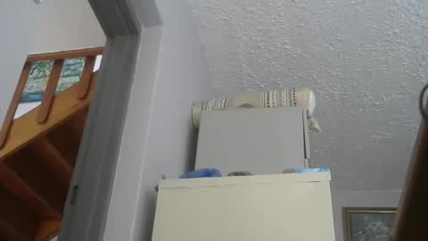 Snapshot of chaturbatordeluxe chatting on February 2025 02:52:01 PM chaturbatordeluxe online show from February 2025 02:52:01 PM