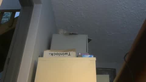 chaturbatordeluxe online show from November 2025 03:34:01 AM