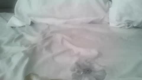 chatusandy26 online show from February 2026 07:05:01 AM