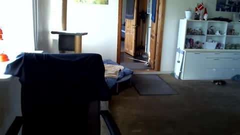 chefben666 online show from March 2026 03:56:01 PM