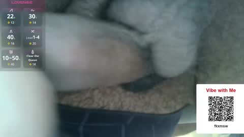 Snapshot of chefjason52 chatting on December 2025 05:19:02 PM Fun With Daddys Dick Fantacy Room online show from December 2025 05:19:02 PM