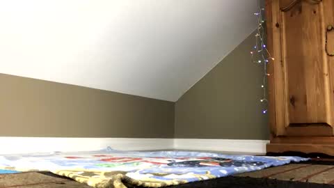 Snapshot of chenovich chatting on January 2025 01:42:02 PM chenovich online show from January 2025 01:42:02 PM