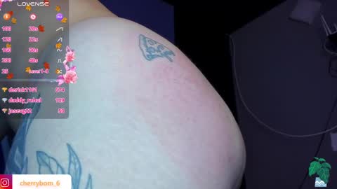 Snapshot of cherrybom_ chatting on January 2025 10:16:01 AM  dayis independent model  online show from January 2025 10:16:01 AM